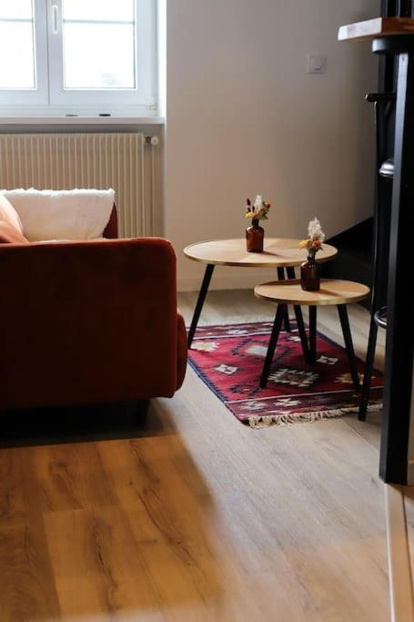 Appartement Duplex Au Coeur De 兰斯 外观 照片